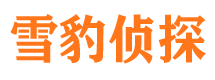 龙井寻人公司